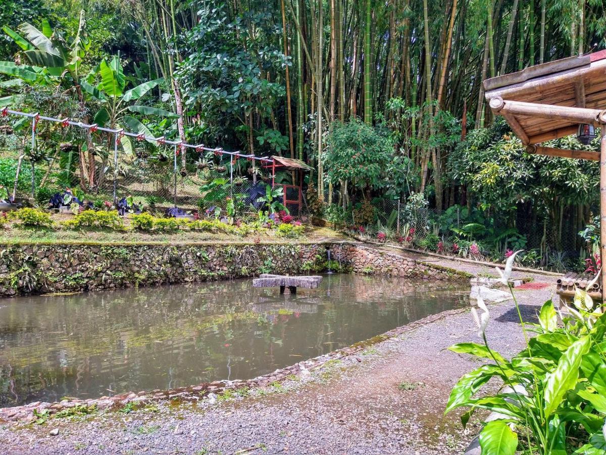 Finca Turistica Los Rosales Pereira Exterior foto